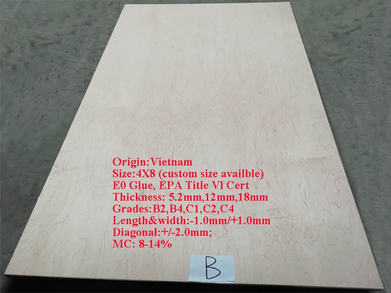 Vietnam white maple plywood
